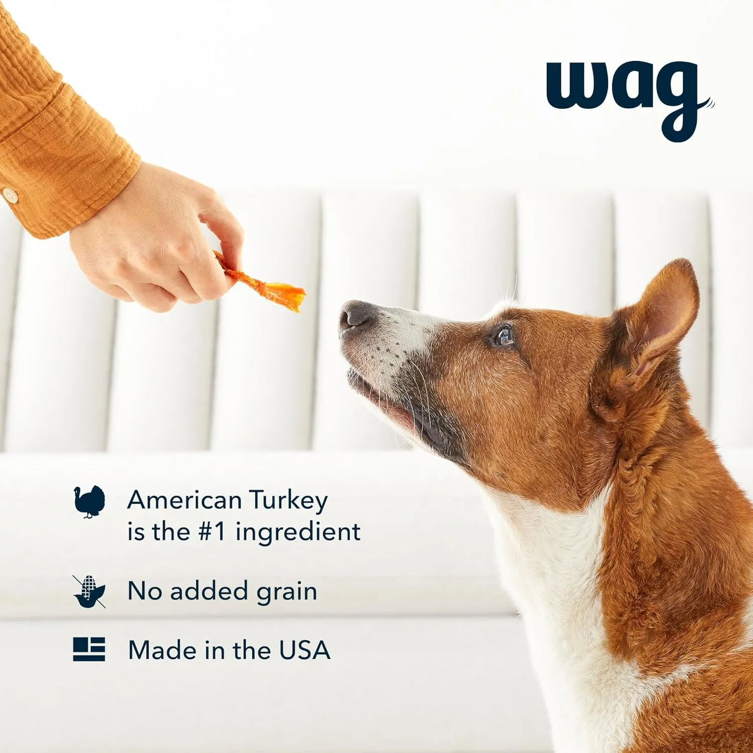 Amazon Brand - Wag Soft & Tender American Jerky Dog Treats  Turkey & Sweet Potato, 16 Ounce (Pack of 1)