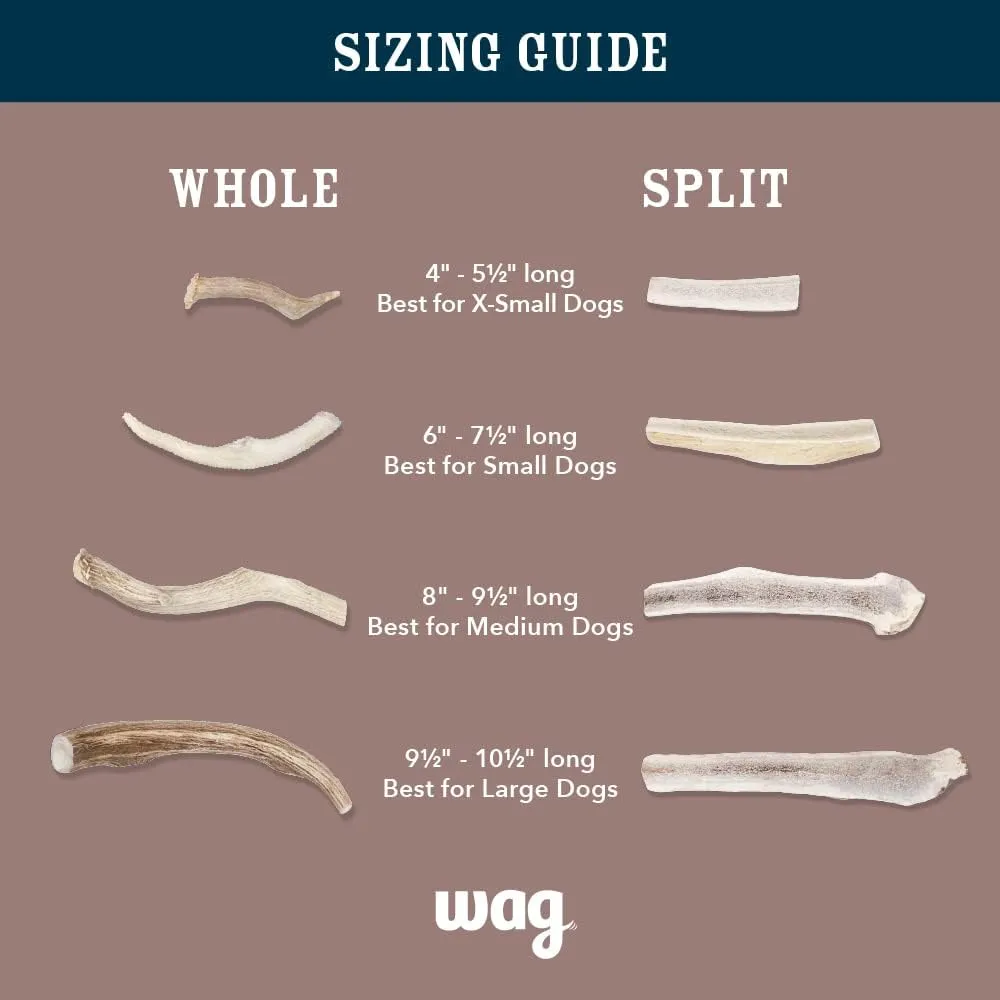 Amazon Brand - Wag Split Elk Antler, Naturally Shed, Long Lasting for Aggressive Chewers, Medium (Best for Dogs 15-30 lbs)