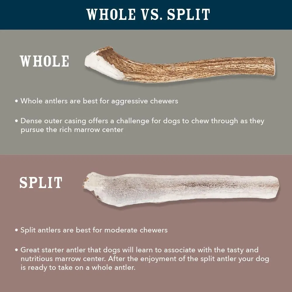 Amazon Brand - Wag Split Elk Antler, Naturally Shed, Long Lasting for Aggressive Chewers, Medium (Best for Dogs 15-30 lbs)
