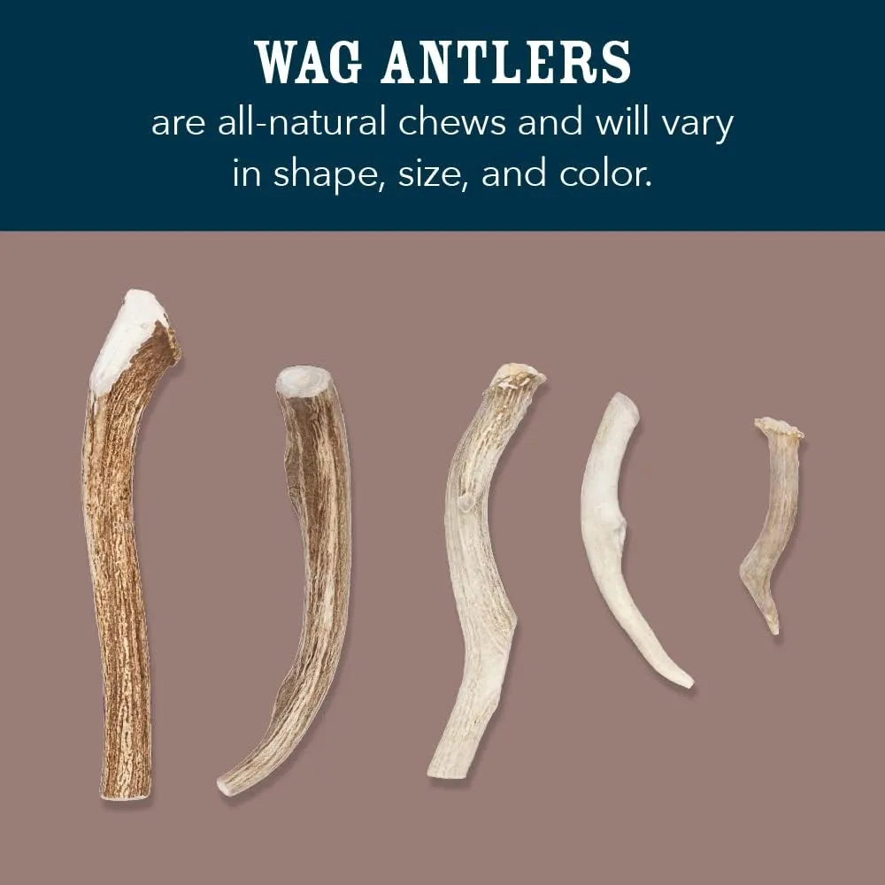 Amazon Brand - Wag Split Elk Antler, Naturally Shed, Long Lasting for Aggressive Chewers, Medium (Best for Dogs 15-30 lbs)