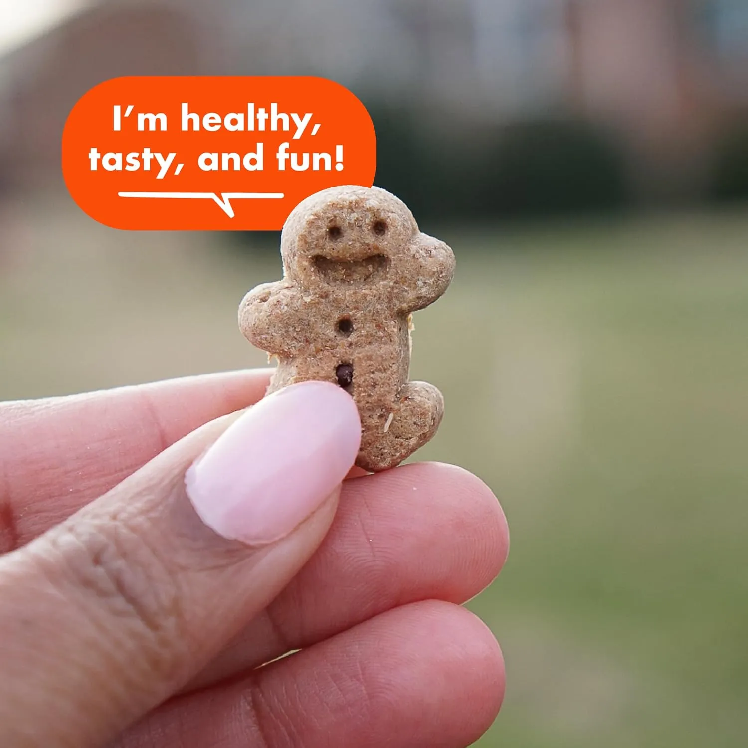 Buddy Biscuits 8 oz. Bag of Softies Soft & Chewy Dog Treats, Made with Peanut Butter