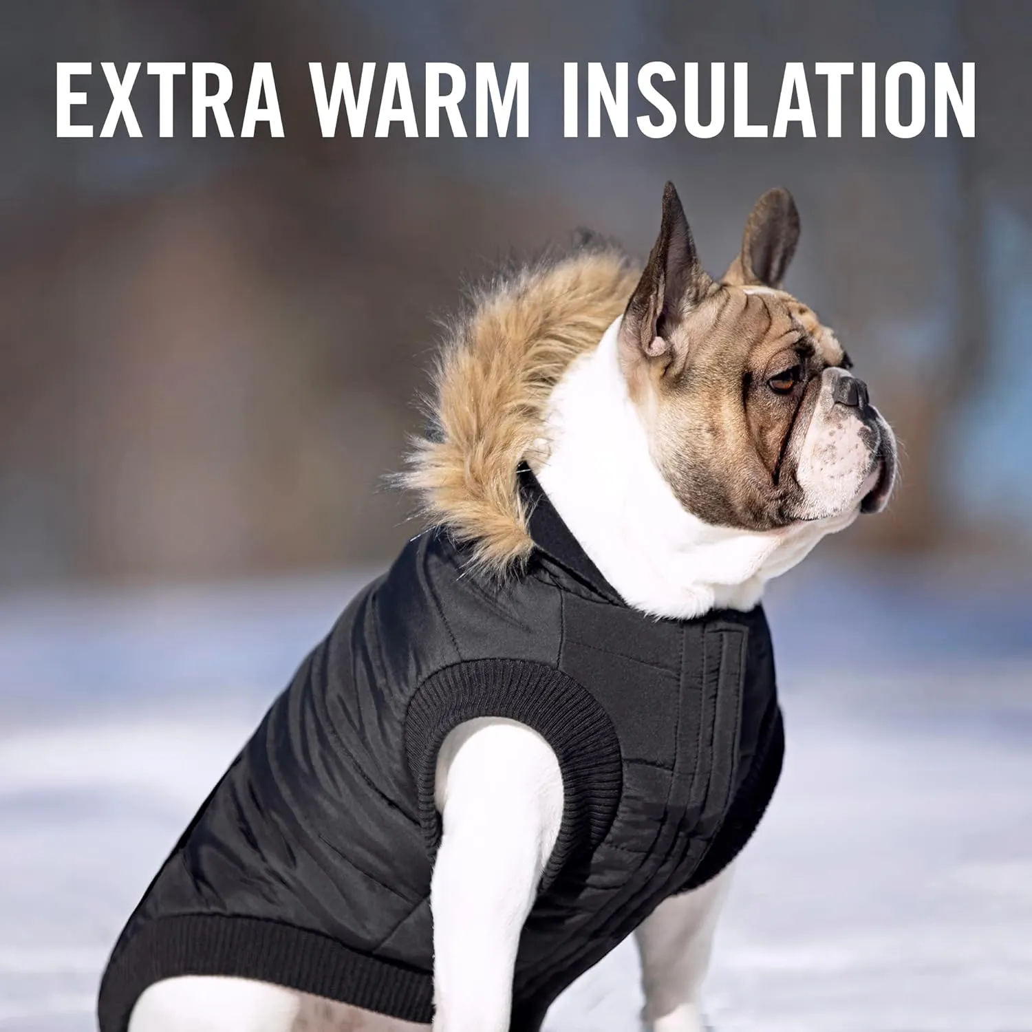Canada Pooch | North Pole Parka (16 (15-17" Back Length), Black)