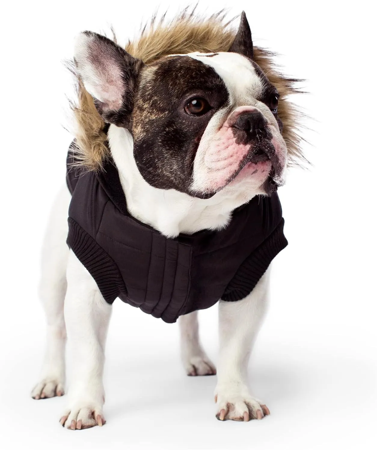 Canada Pooch | North Pole Parka (16 (15-17" Back Length), Black)