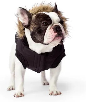 Canada Pooch | North Pole Parka (16 (15-17" Back Length), Black)