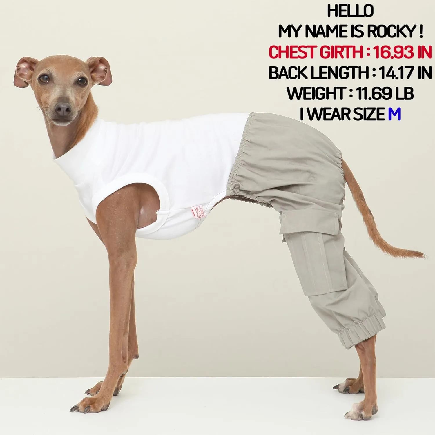 D Doggy Star Italian Greyhound Clothes Cargo Pants Onesie Outfit Whippet for Dog Coat (M,Grey Cargo)
