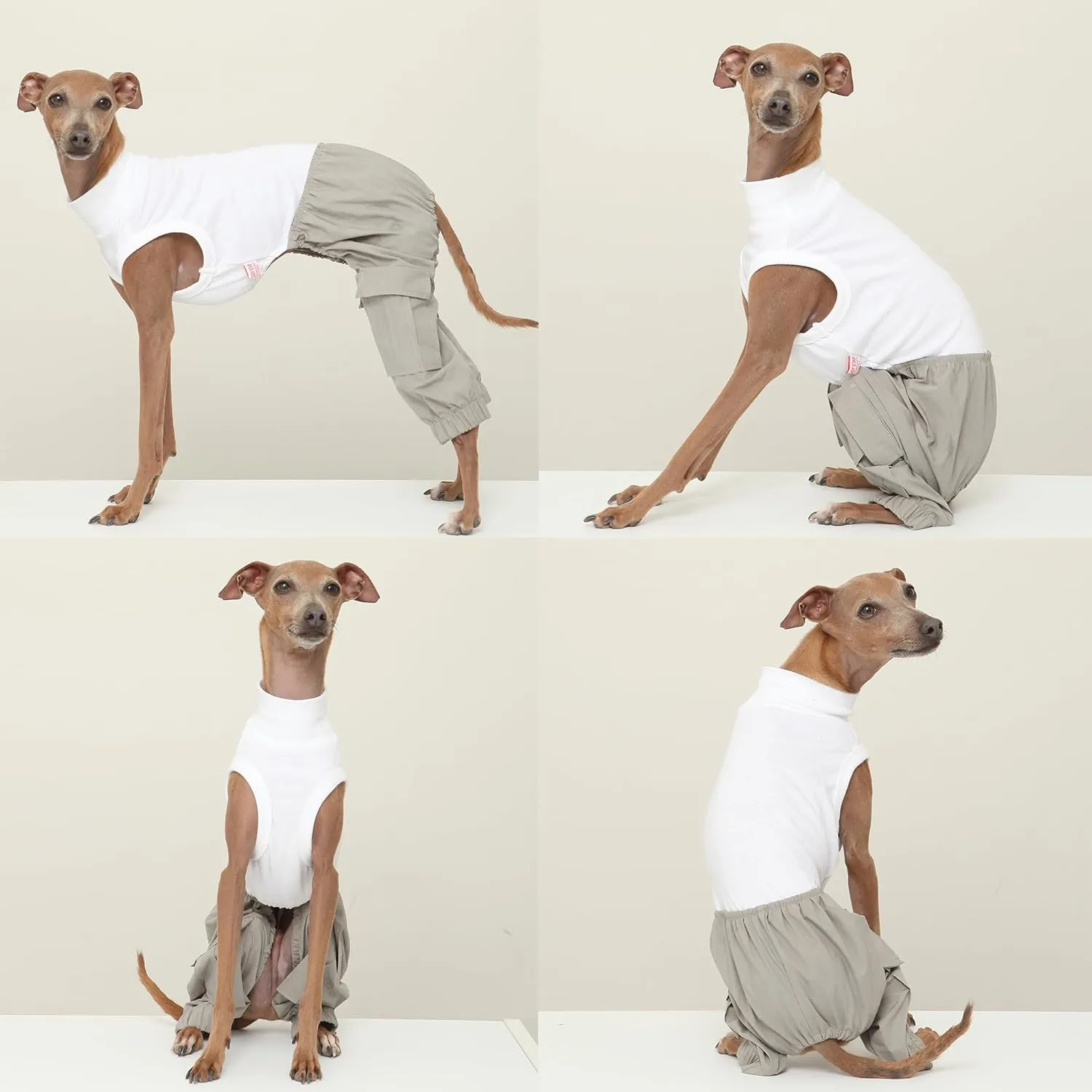 D Doggy Star Italian Greyhound Clothes Cargo Pants Onesie Outfit Whippet for Dog Coat (M,Grey Cargo)