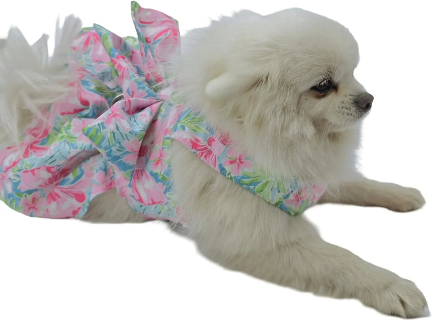 Dog Dress (,PawtyTime)