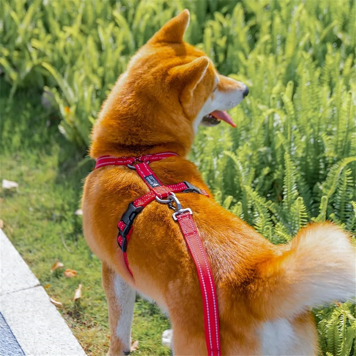 EXCELLENT ELITE SPANKER No Pull Dog Harness Reflective Nylon Vest L-Shaped Adjustable Easy Pet Harness for Small Medium Large Breeds Dogs Walking Training Black Red(Purple-M)
