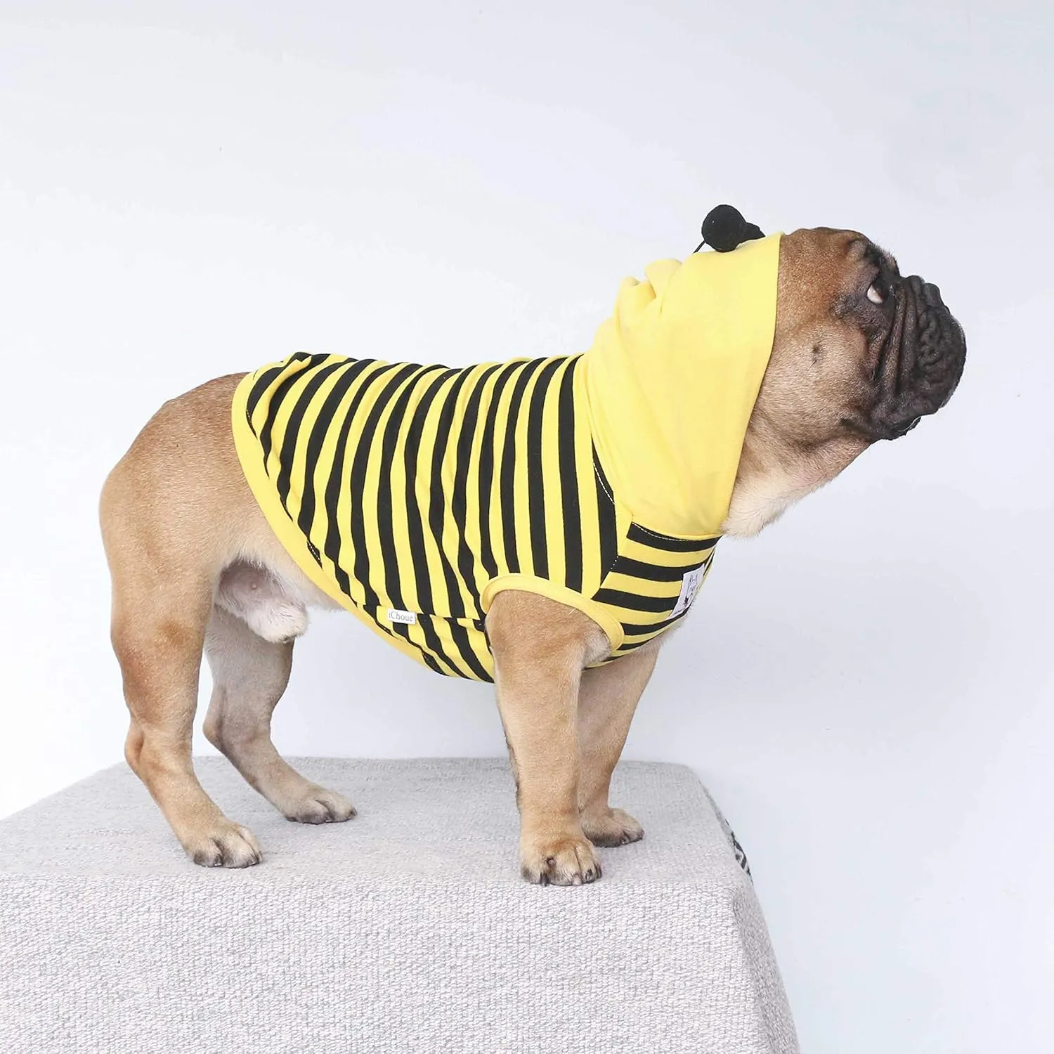 iChoue I am a French Bulldog Bee Honeybee Bumblebee Costumes Hoodies Sleeveless Clothes Outfits Cosplay Shirts for Medium Dogs Frenchie Pug English Boston Puppy - Black and Yellow, Large