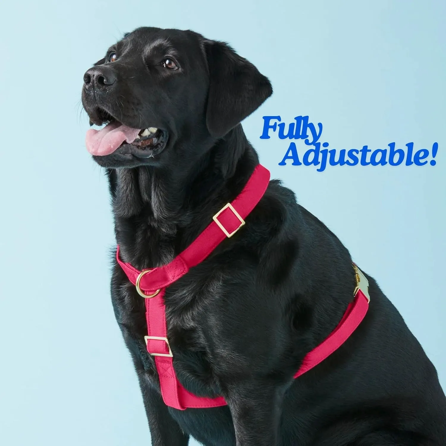 Indestructible Dog Harness, Ergonomic Customizable Sizing, No Pull, No Escape, Front   Back Leash Clip, Metal Buckle and Adjusters (Peach Color, Medium)