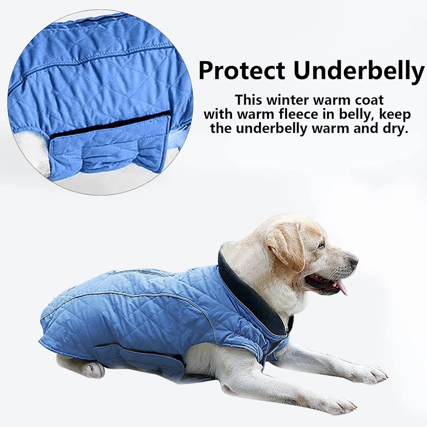 Morezi Dog Coat with Reflective strim, Winter Dog Jacket Water Resistant underbelly Warm Puppy Suit with Harness Hole - Suitable for French Bulldog, shitzu, Jack Russell Terrier - S - Blue