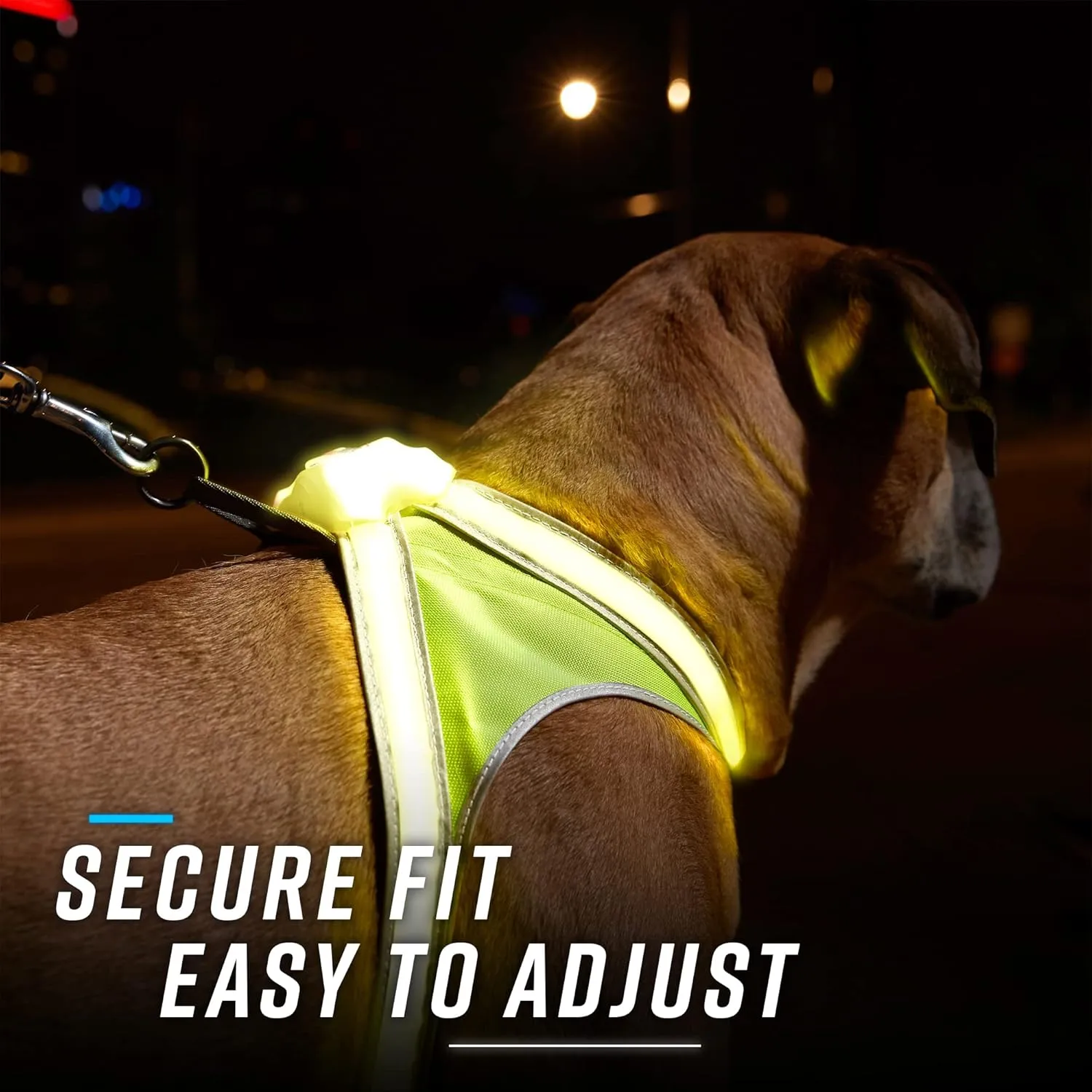Noxgear LightHound  Revolutionary Illuminated and Reflective Harness for Dogs Including Multicolored LED Fiber Optics (USB Rechargeable, Adjustable, Lightweight, Rainproof) (Large)