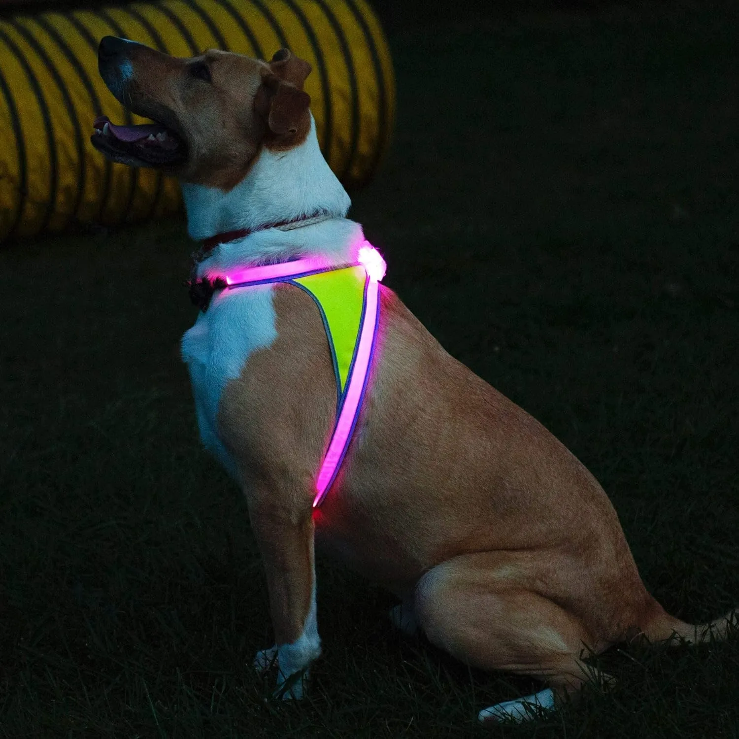 Noxgear LightHound  Revolutionary Illuminated and Reflective Harness for Dogs Including Multicolored LED Fiber Optics (USB Rechargeable, Adjustable, Lightweight, Rainproof) (Large)