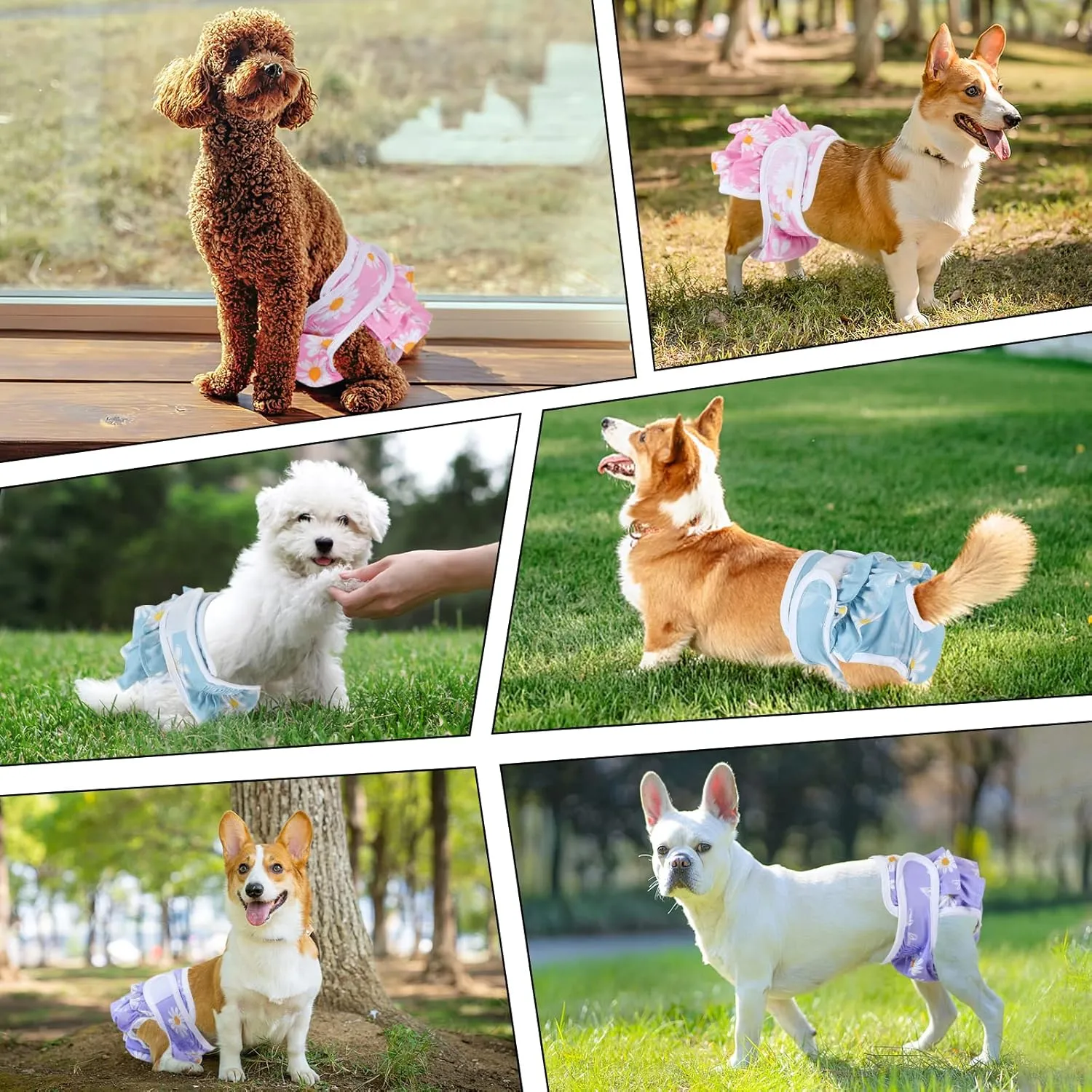 NOYAL Washable Dog Diapers Female Reusable High Absorbency Leak-Proof Rose Pattern Doggie Diapers 3 Pack