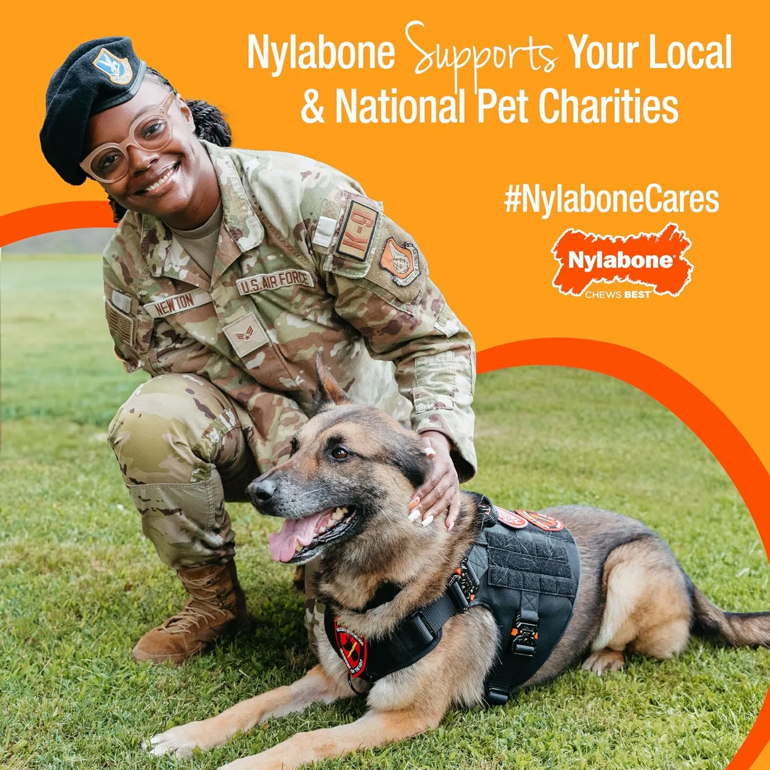 Nylabone Lobster Power Chew Toy for Dogs, Dog Toys for Aggressive Chewers, Filet Mignon Flavor, X-Large Dogs - 50  lbs, 1 Count