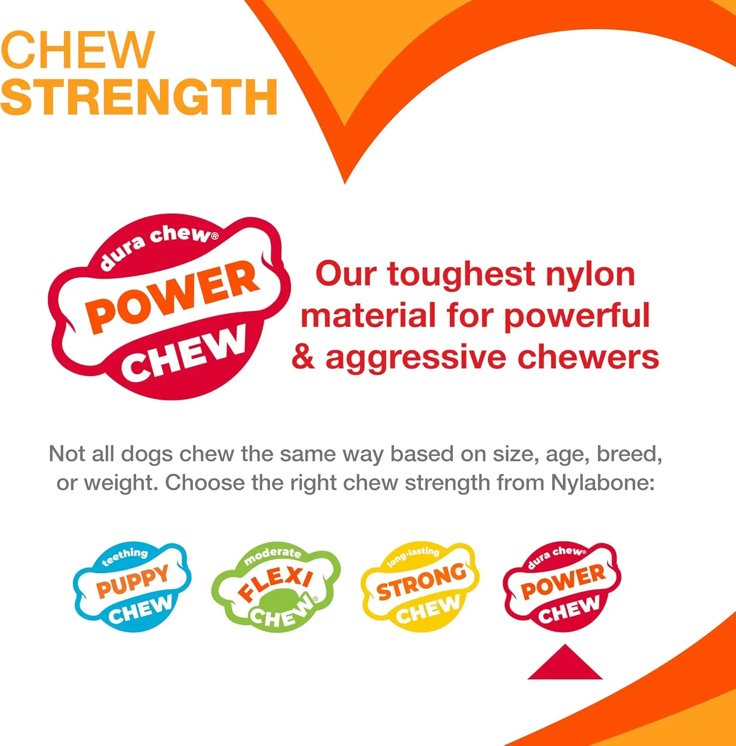 Nylabone Lobster Power Chew Toy for Dogs, Dog Toys for Aggressive Chewers, Filet Mignon Flavor, X-Large Dogs - 50  lbs, 1 Count