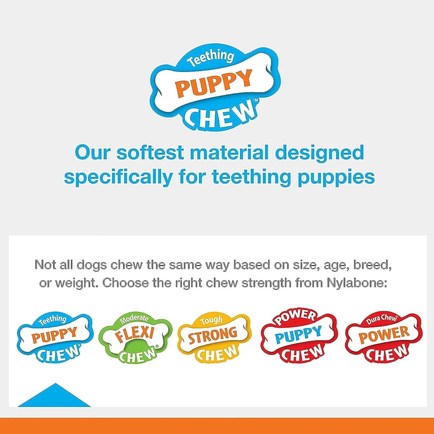 Nylabone Puppy Chew Key Ring Toy, Toys for Teething Puppies, Multi Color, Bacon Flavor, Small - Up to 25 lbs, 1 Count