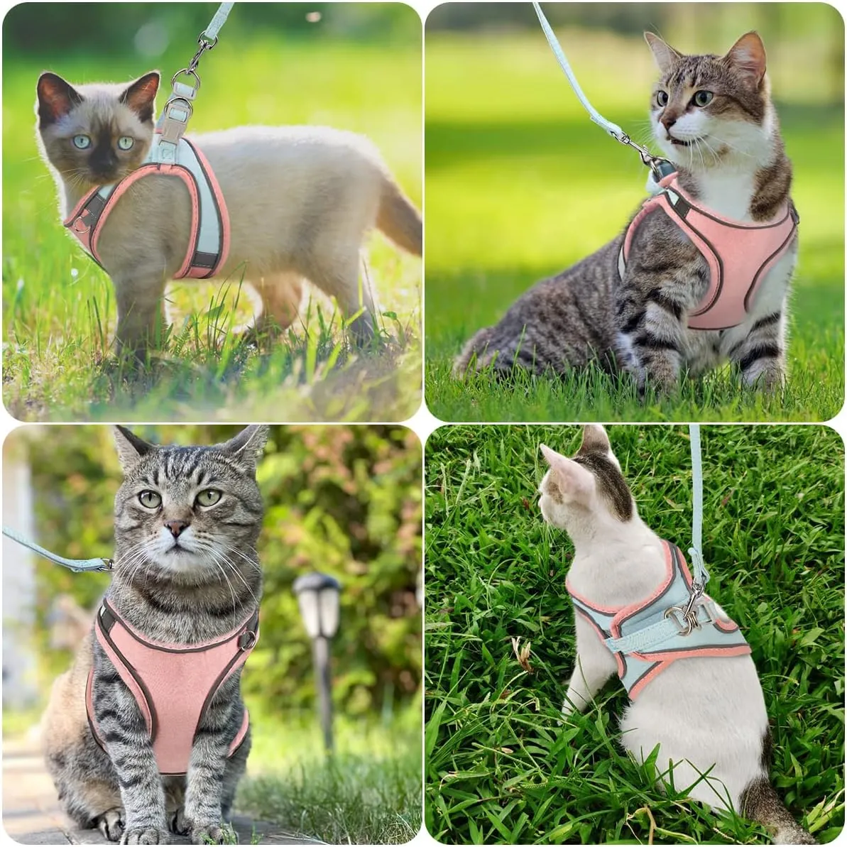 ORIA Pet Harness, Dog Harness, Cat Harness and Leash Set, Breathable Pet Vest, Reflective Strips Jacket for Small Kitten, Puppy, Rabbit, Pink and Blue, 6.6 to 11lb