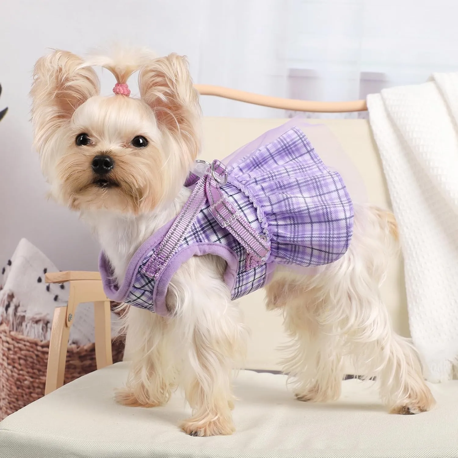 Purple Dog Harness and Leash Set, Breathable Adjustable No Pull Harness for Small to Medium Dogs - Chest 13.7-17.3in