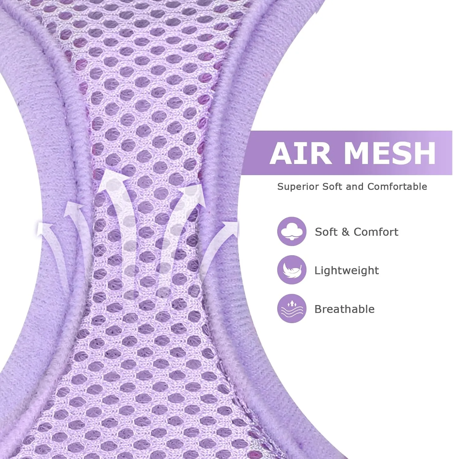 Purple Dog Harness and Leash Set, Breathable Adjustable No Pull Harness for Small to Medium Dogs - Chest 13.7-17.3in
