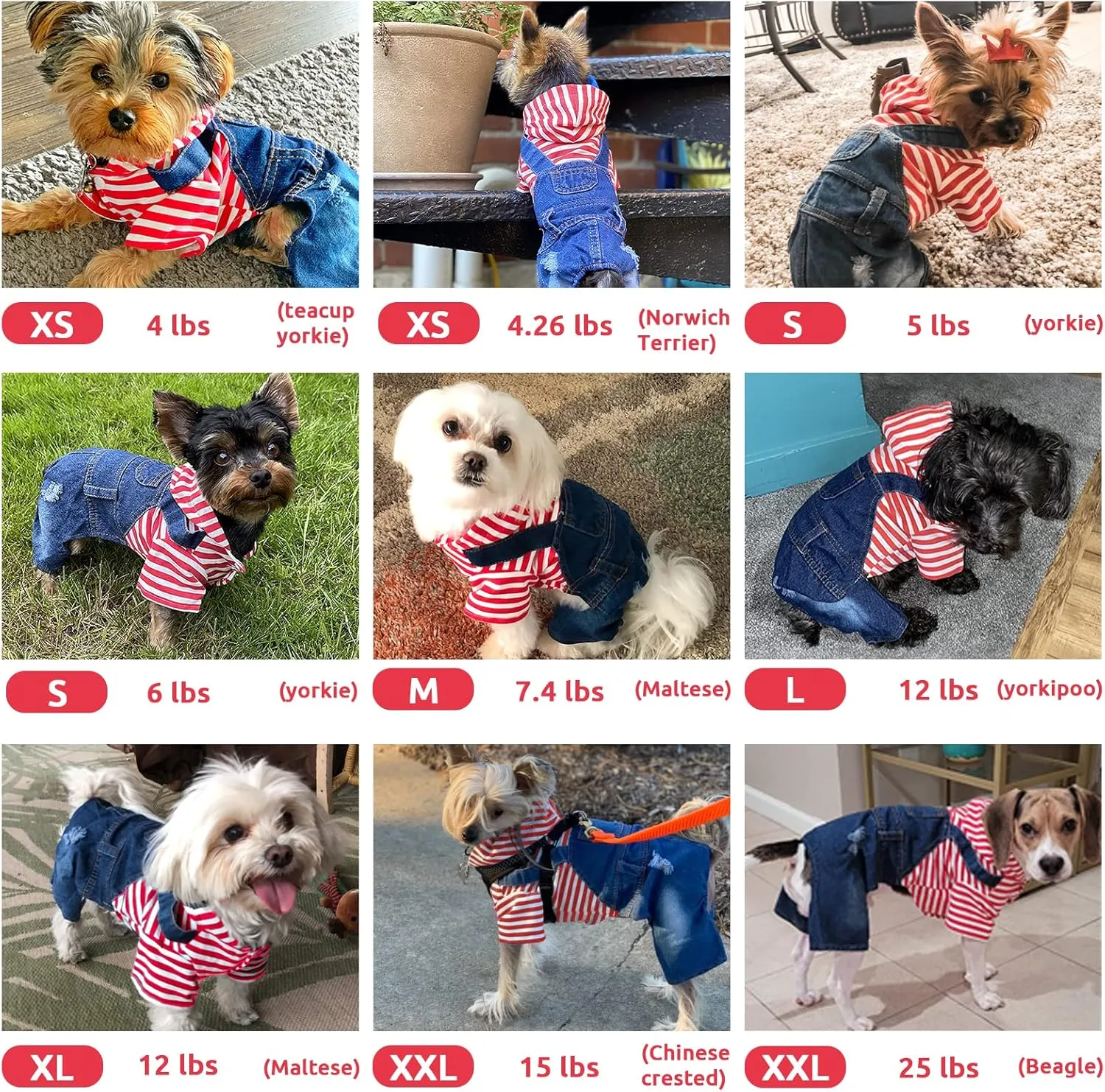 Small Dog Hoodie Clothes Cute Stripe Shirts Denim Jumpsuit One-Piece Outfit for Small Medium Dogs Cats Boy Girl Chihuahua Blue Jeans Overalls Puppy Costume (Red,M)
